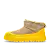 Ultra Mini Hybrid Mustard Seed / Summer Wheat - uggs.store
