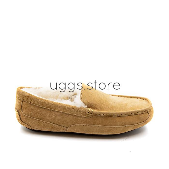 Мокасины Ascot Men's Chestnut - uggs.store