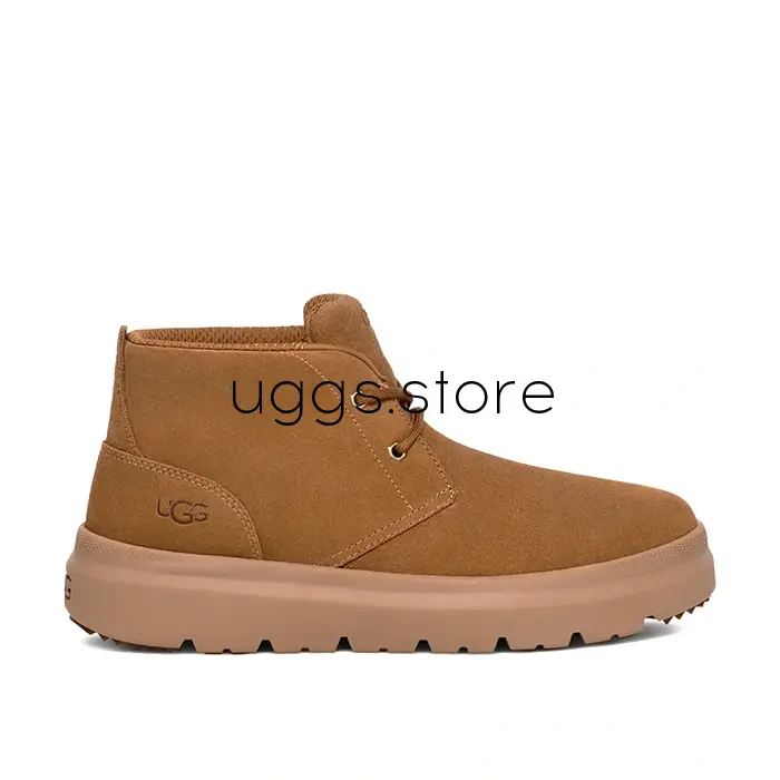 Burleigh Chukka Men's Chestnut - uggs.store