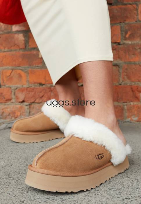Тапочки Disquette Chestnut - uggs.store