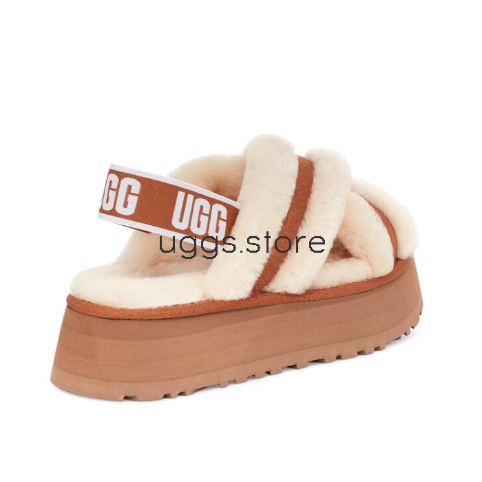 Disco Cross Slide Chestnut - uggs.store