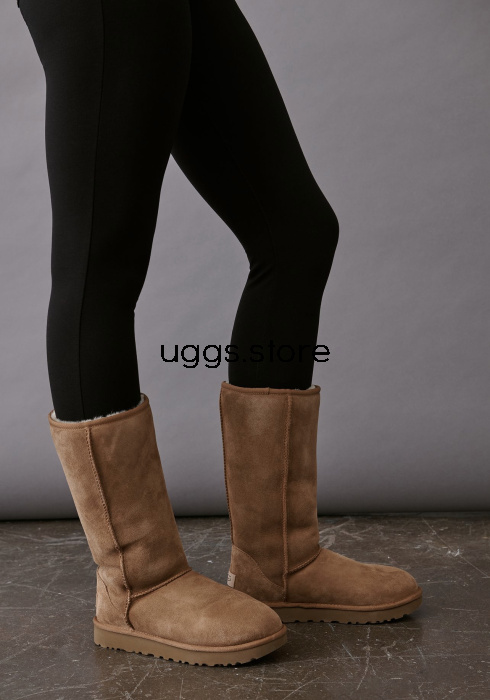 Classic Tall II Chestnut - uggs.store