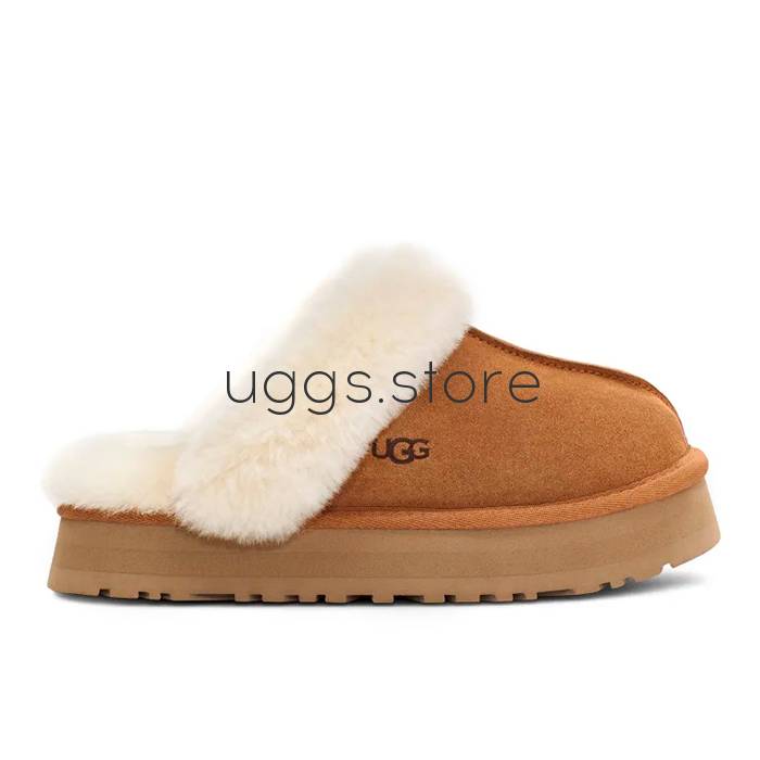 Тапочки Disquette Chestnut - uggs.store