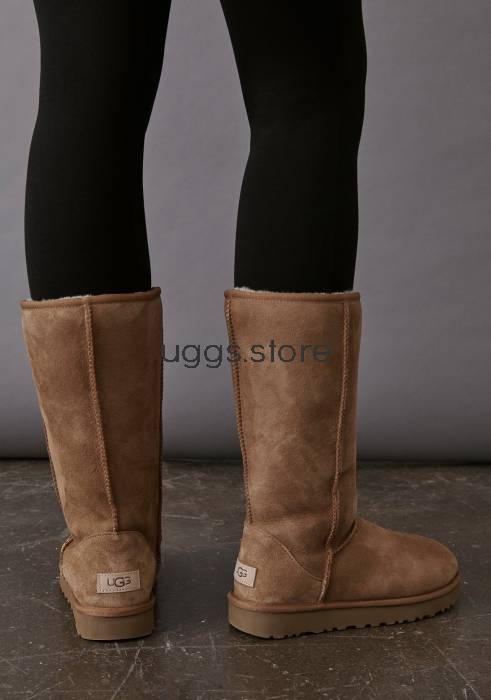 Classic Tall II Chestnut - uggs.store