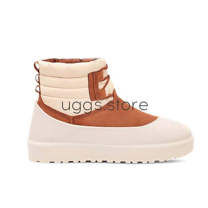 Classic Mini Lace-Up Weather Men's Chestnut / Whitecap - uggs.store