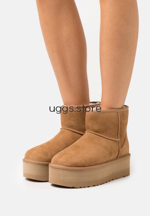 Classic Mini Platform Chestnut - uggs.store