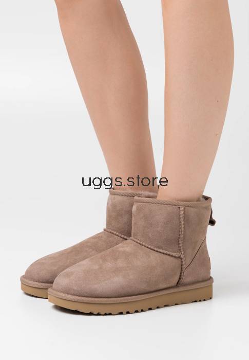 Classic Mini II Cappuccino - uggs.store