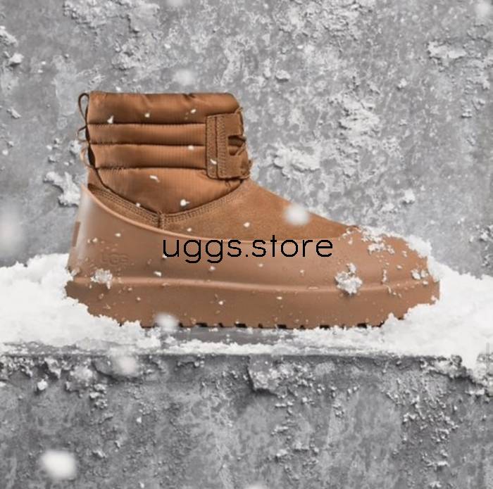 Classic Mini Lace-Up Weather Chestnut_x - uggs.store