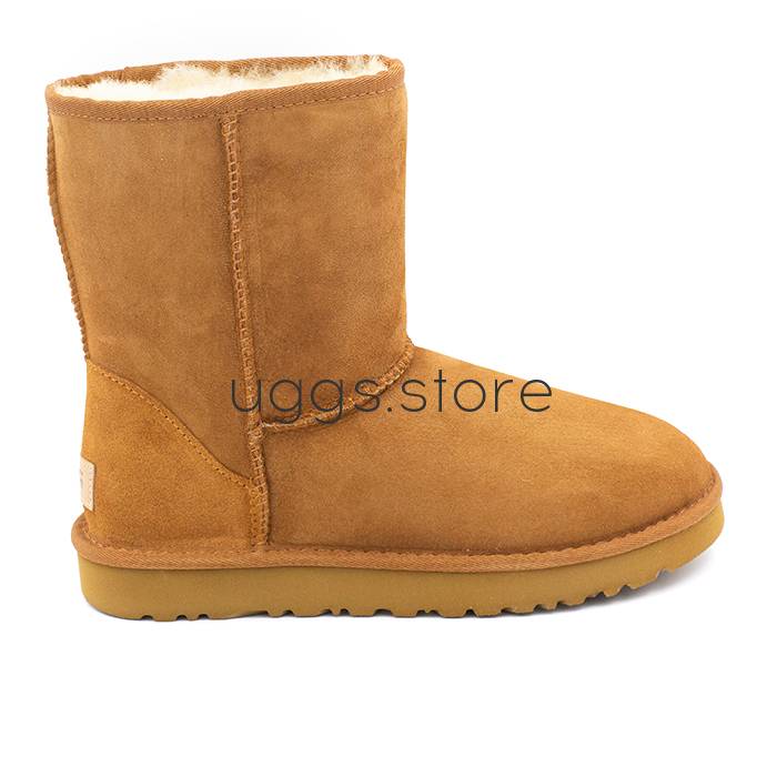 Classic Short II Boot Men's Chestnut - uggs.store