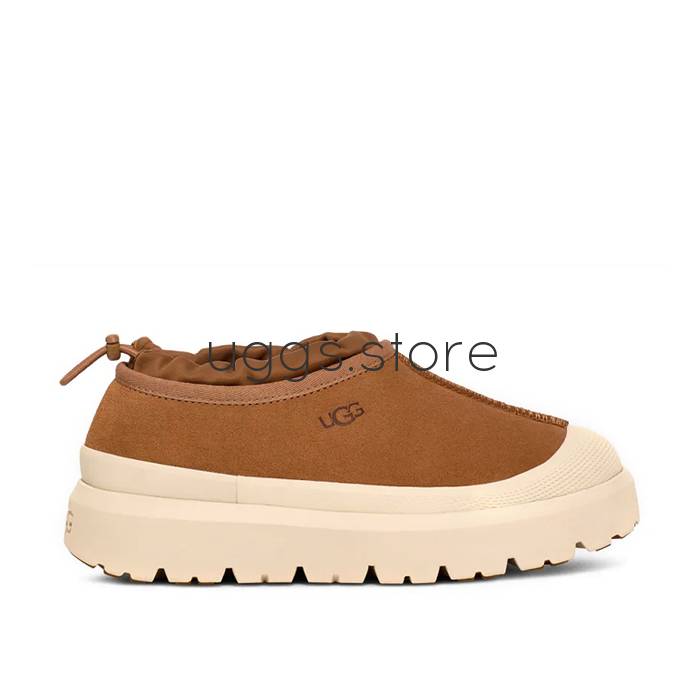 Tasman Weather Hybrid Chestnut / Whitecap - uggs.store