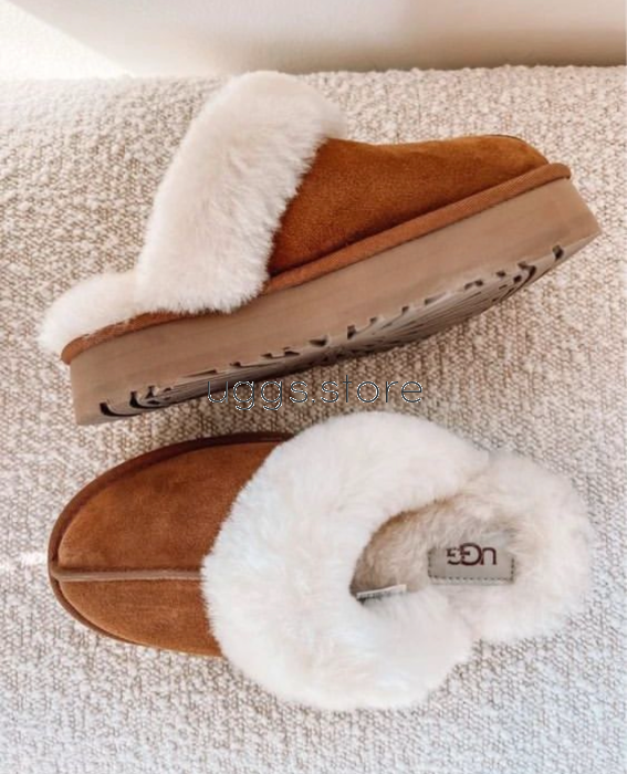 Тапочки Disquette Chestnut - uggs.store