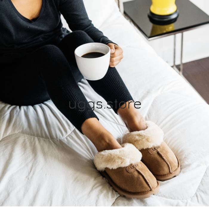 Тапочки Coquette Chestnut - uggs.store